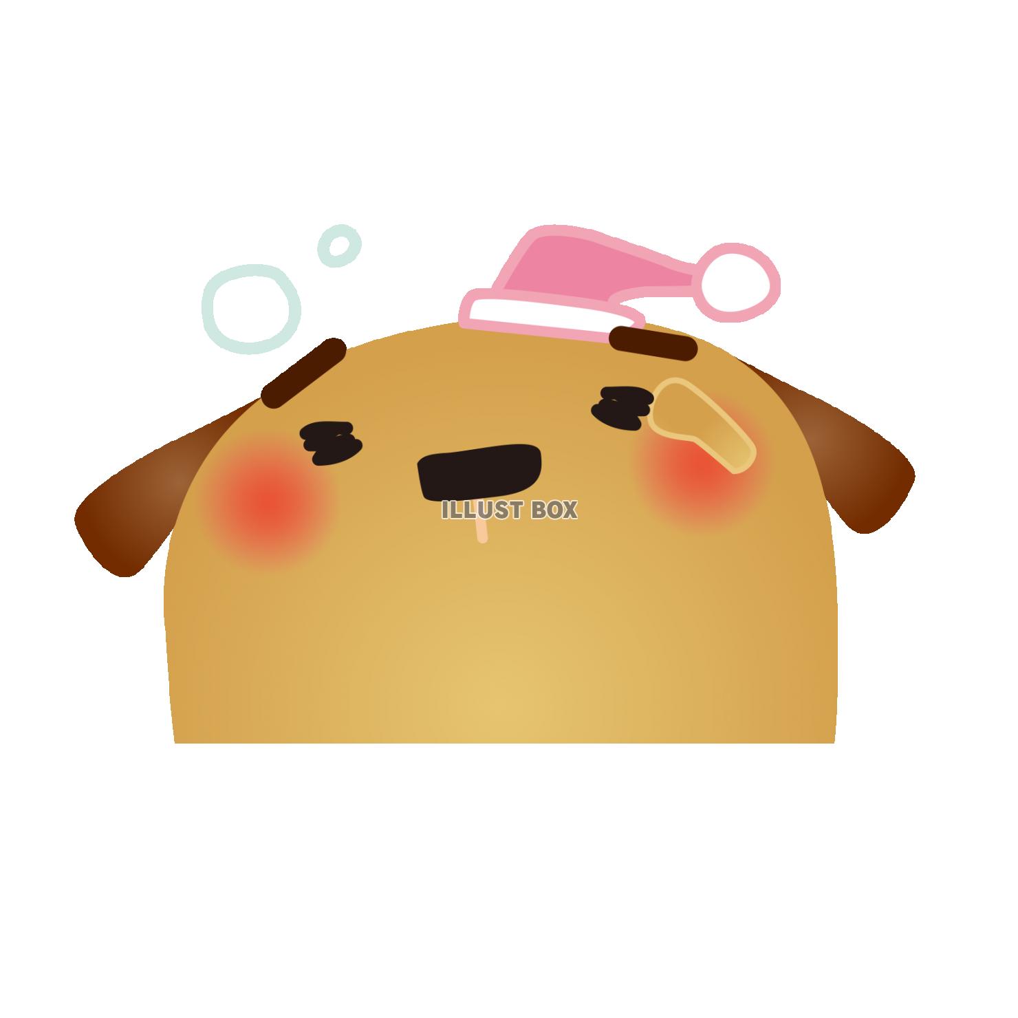 dog030
