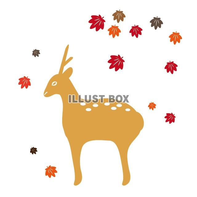 秋の鹿