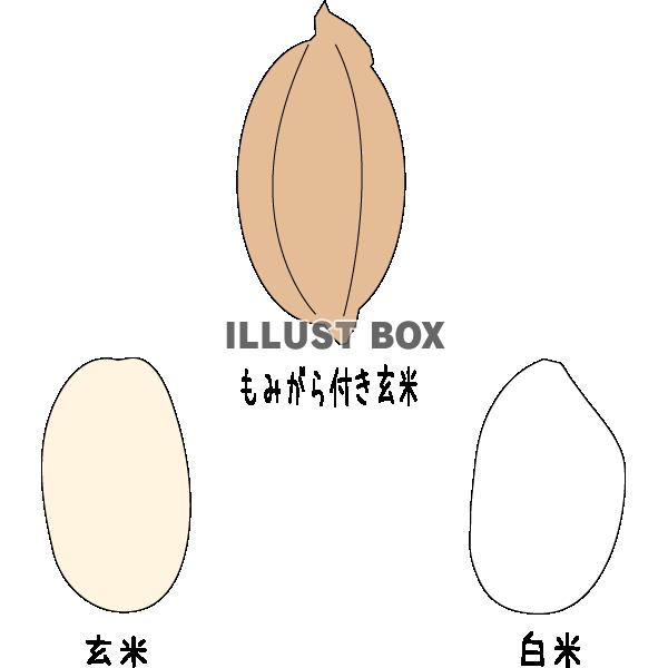 リクエスト素材　かわいいお米1