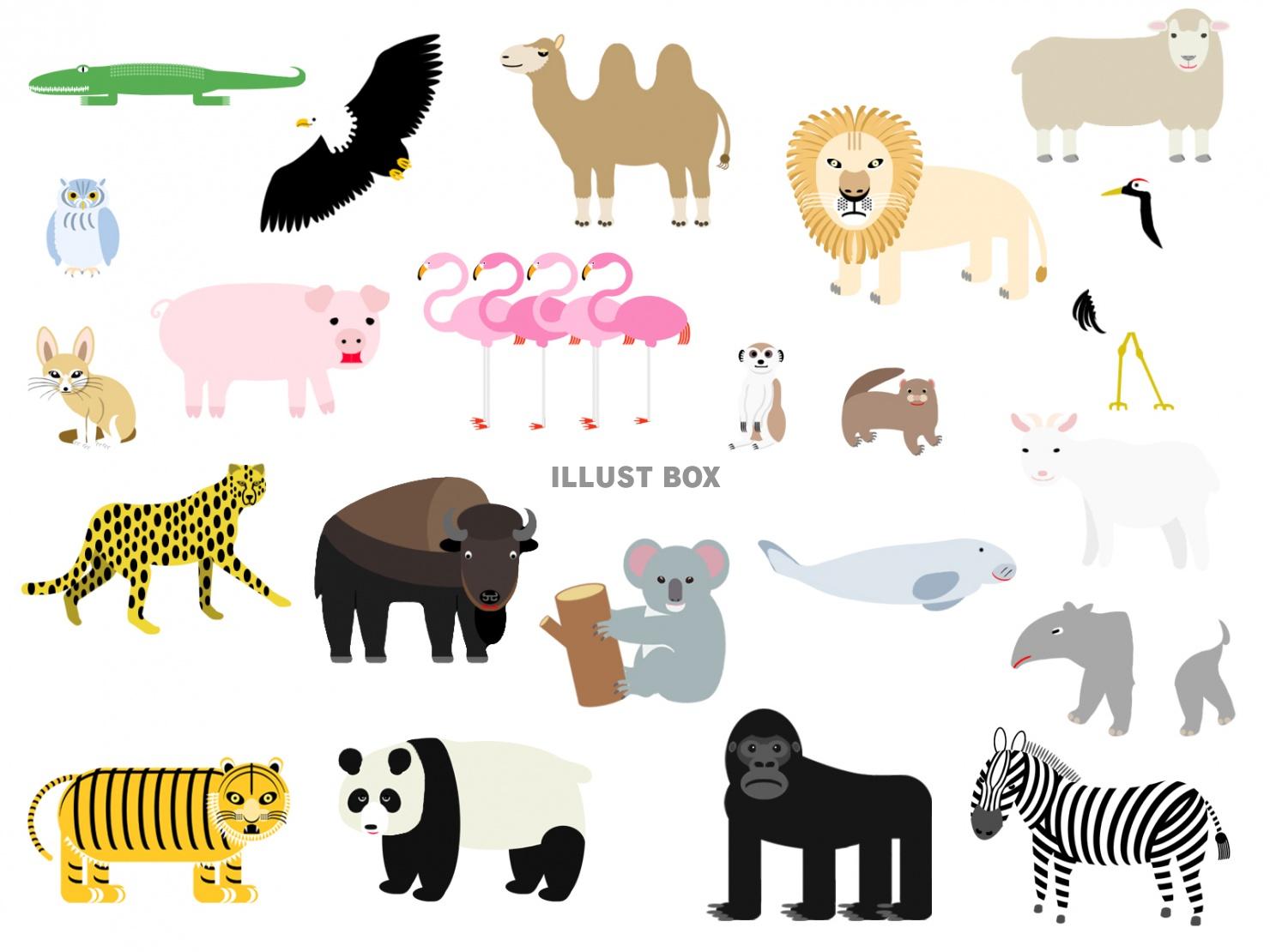無料印刷可能動物園 イラスト フリー かわいい動物画像