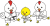 にわとり・空手２