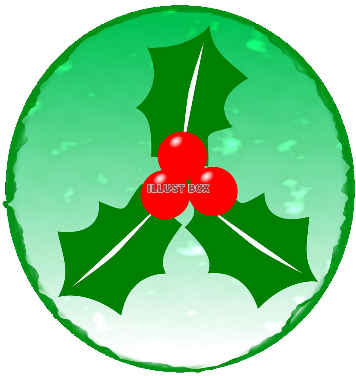 ヒイラギ　クリスマス　節分　緑丸枠