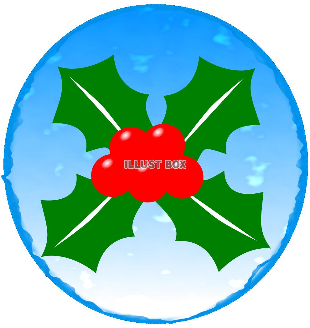 ヒイラギ　クリスマス　節分　水色丸枠