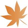 リクエスト素材　紅葉5