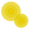 菊の花2・背景画像透過処理png画像