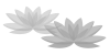 喪中ハガキ用蓮の花デザインイラスト3・背景透過処理png画像