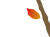 紅葉した葉っぱ