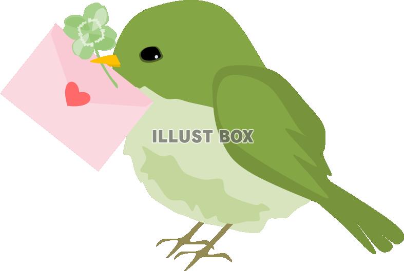 無料イラスト 緑の鳥と手紙