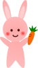人参を持ったうさぎ