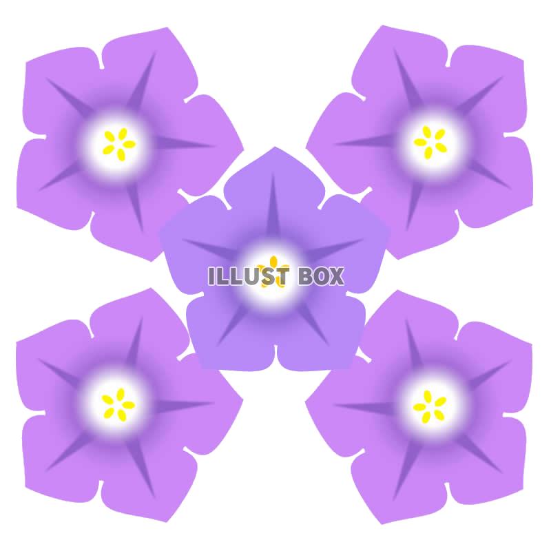 サフィニアの花1・背景透過処理png画像