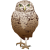 リアルなふくろう　(png・CSeps）