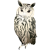 リアルなふくろう　(png・CSeps）