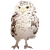 リアルなふくろう(png・CSeps）