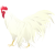 リアルな鶏(png・CSeps）