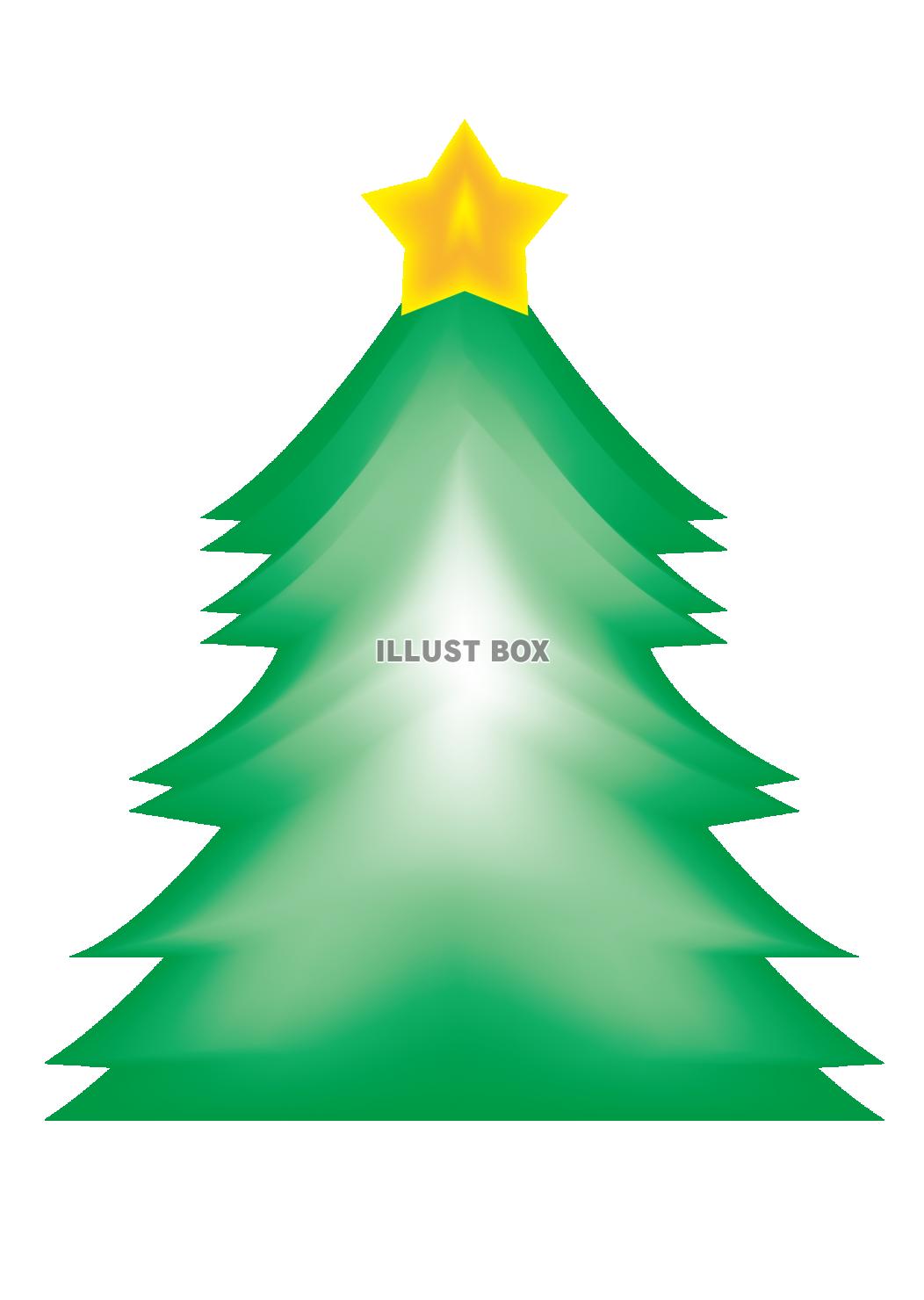 Xmas・リアルツリー