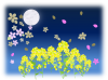 月夜と菜の花と桜