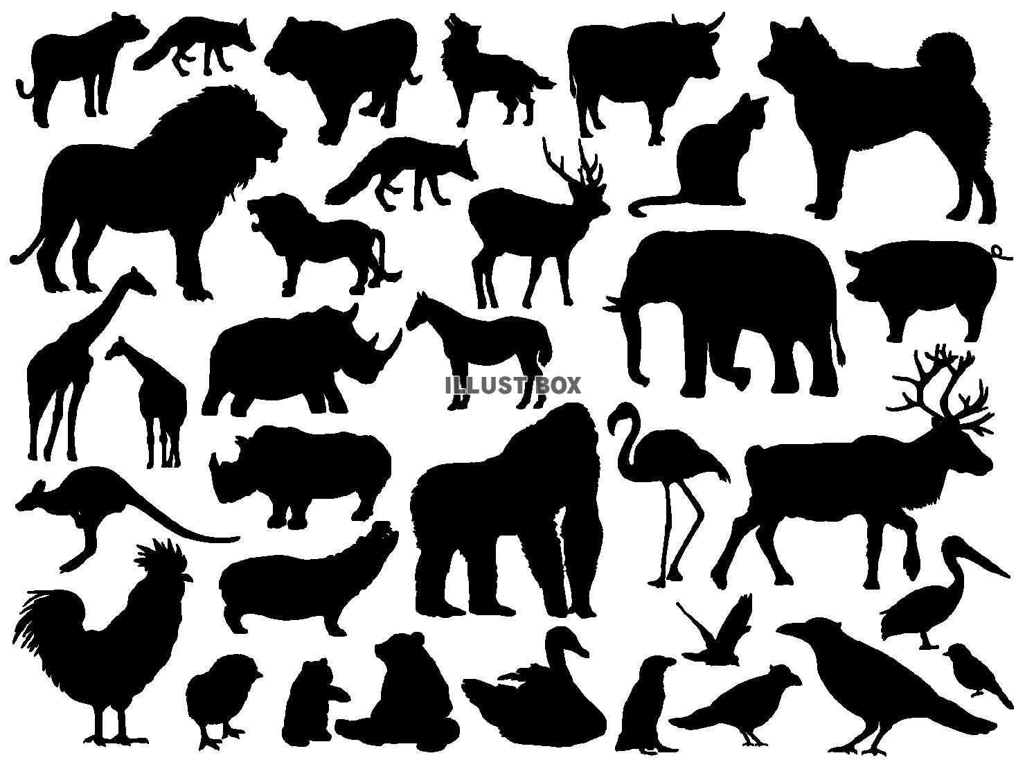 すべての動物の画像 無料印刷可能動物 シルエット イラスト