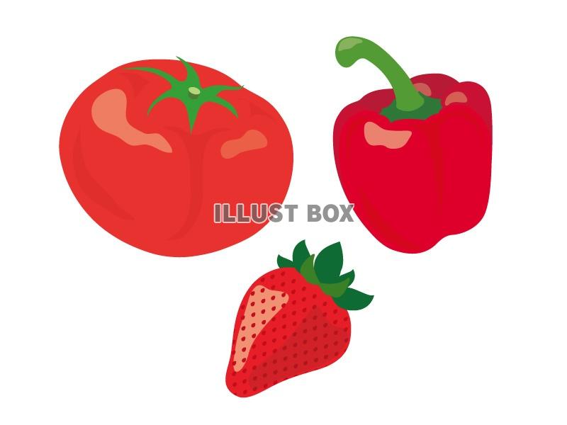 無料イラスト 赤い野菜と果物