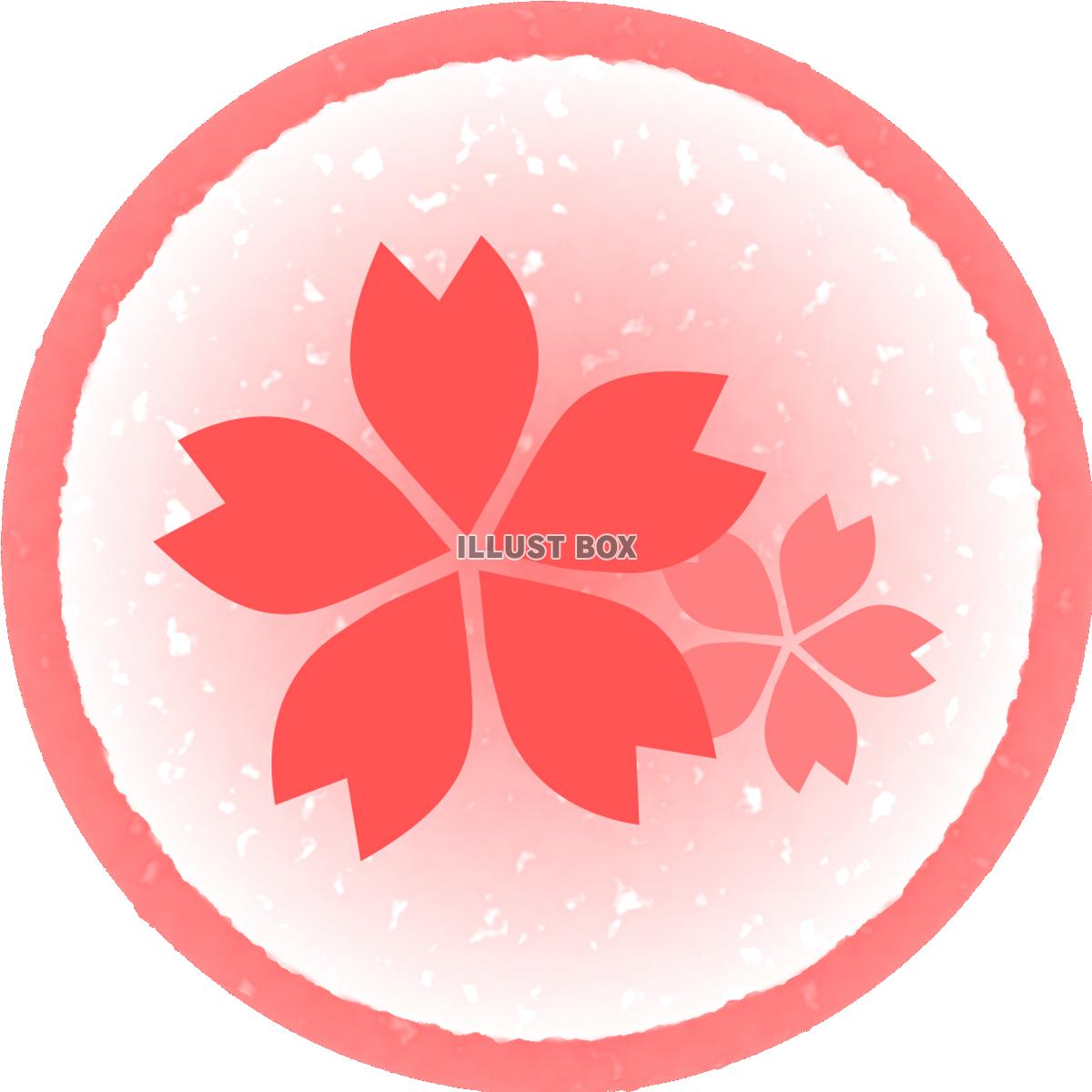 桜の花　ピンク丸枠（透過PNG）