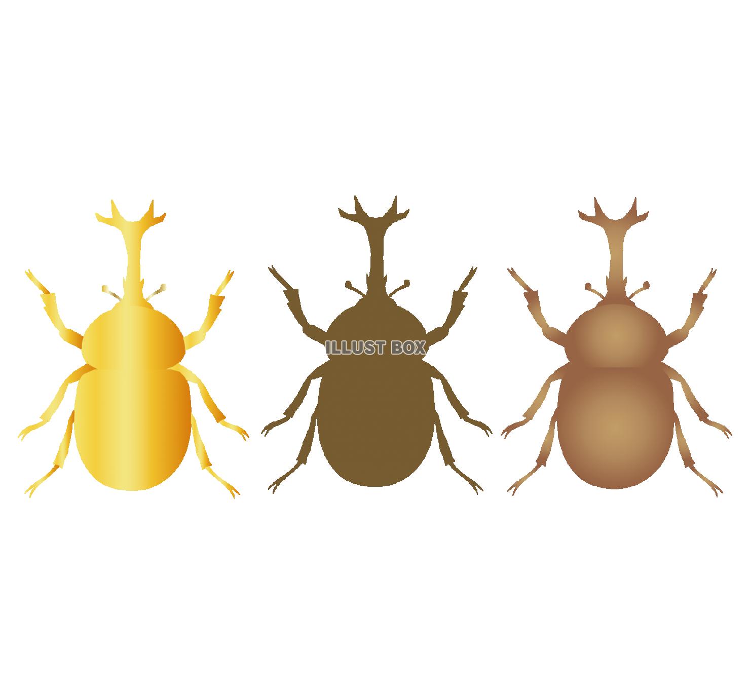 カブト虫セット4