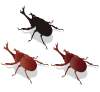 シンプルカブト虫1 ※影付き