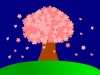 一本桜　満開　夜背景