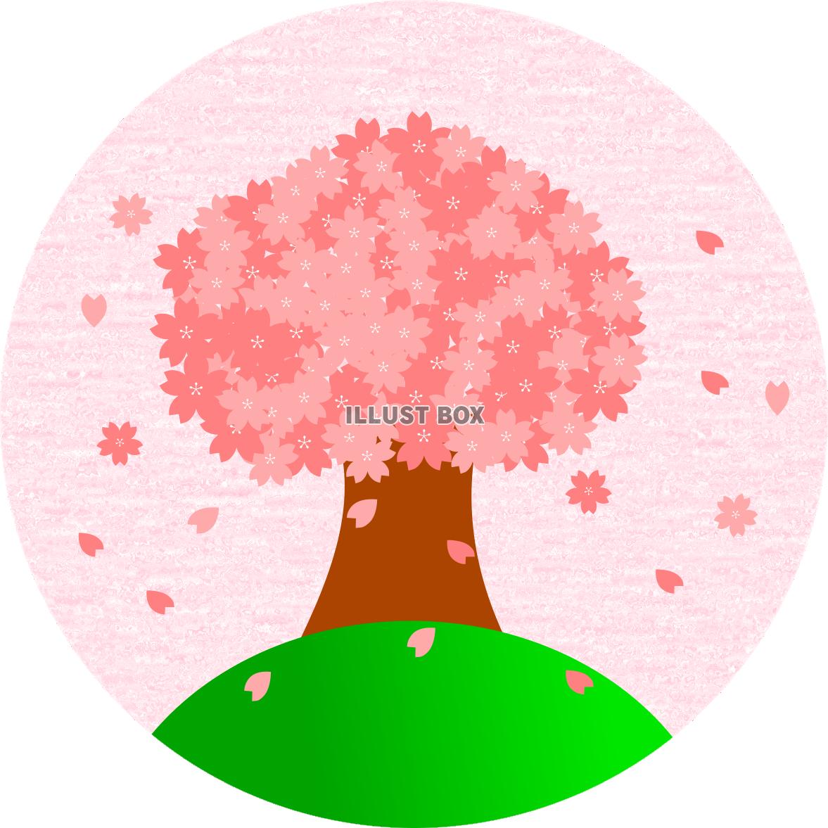 桜アイコン　ピンク（透過PNG）