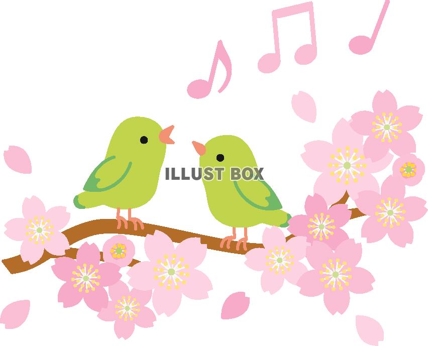 無料イラスト 桜と小鳥４