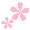 桜のイラスト　透過png