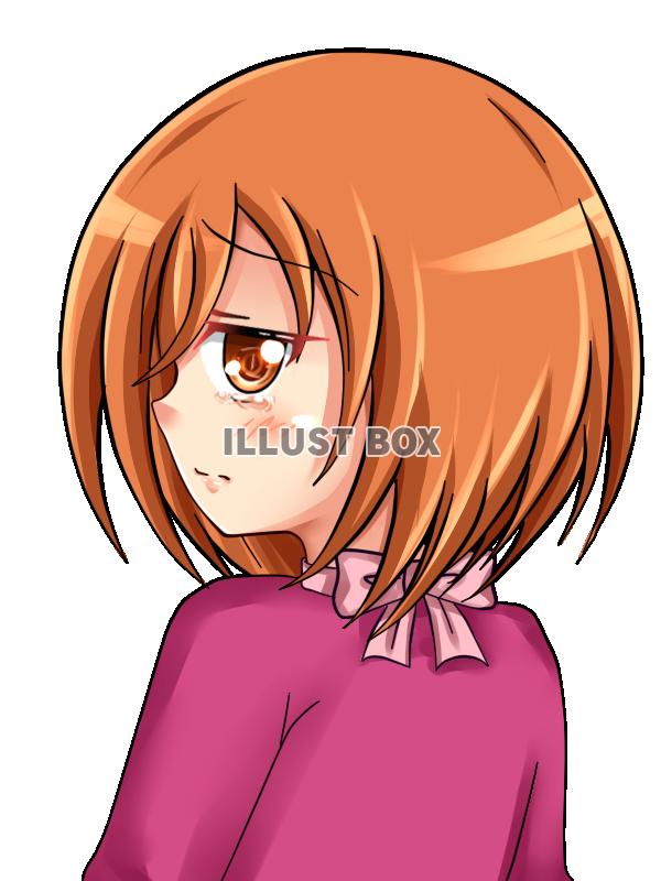 ルナ　表情　哀