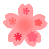 桜と小さい桜　透過png