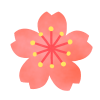 桃色の桜　透過png