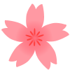 細身の桜の花　透過png