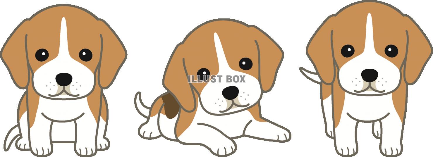 無料イラスト ビーグルの子犬