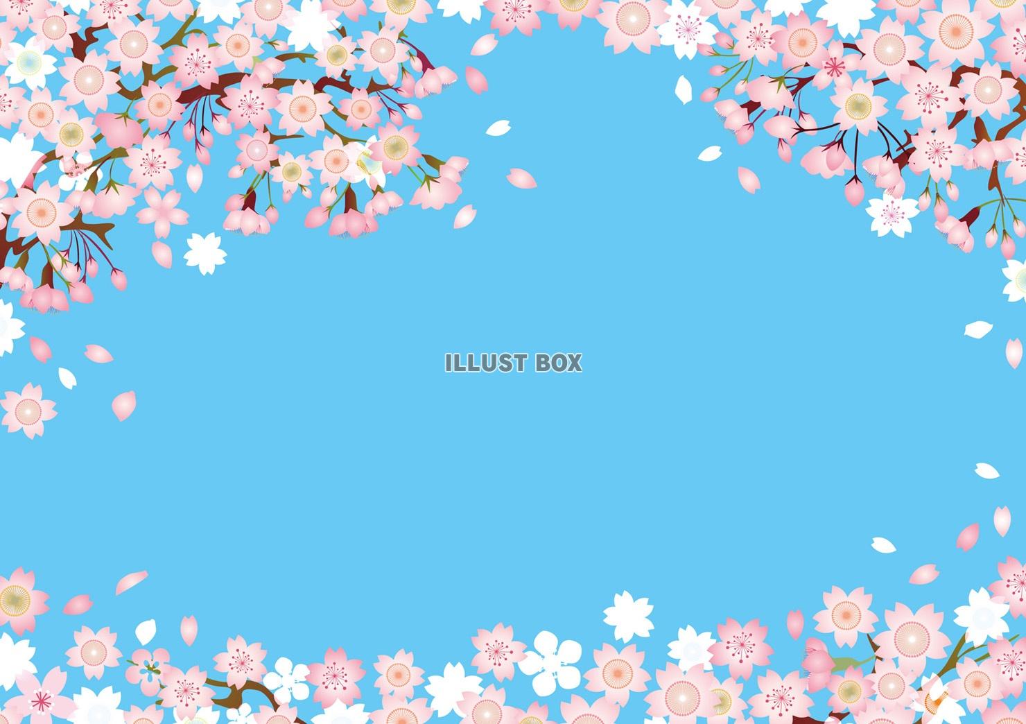 無料イラスト お花桜さくらサクラ春植物満開お花見ホワイトデー三月３月3月四