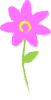 ピンクのお花（透過PNG）手描き風