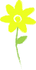 黄色いお花（透過PNG）手描き風