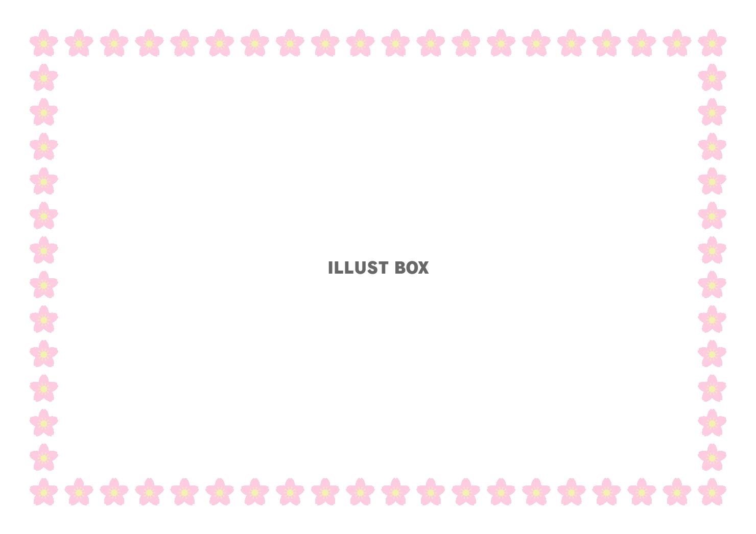 桜の花のフレーム　横　(透過PNG)