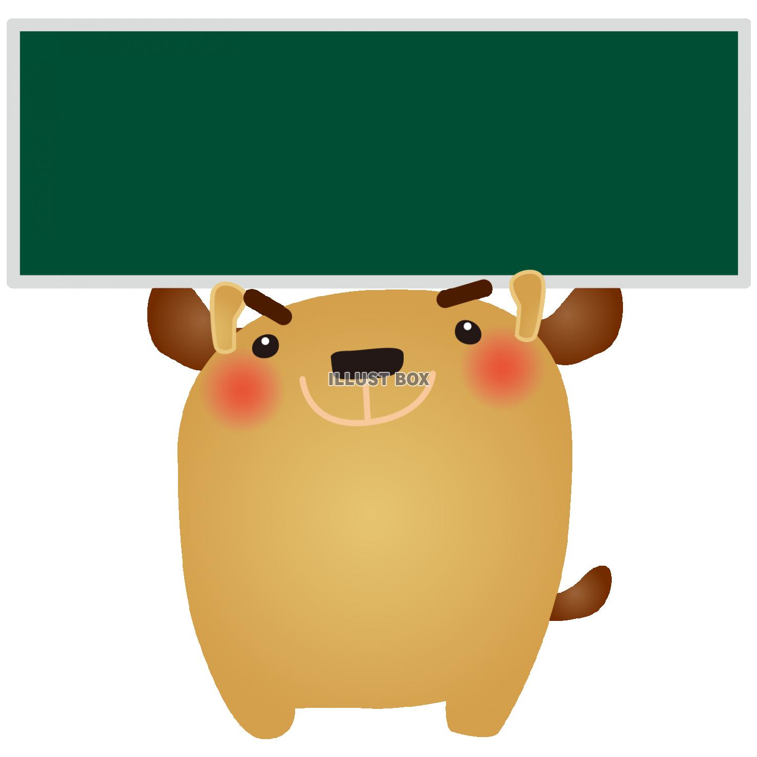 dog050