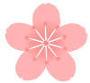 桜の花　透過png