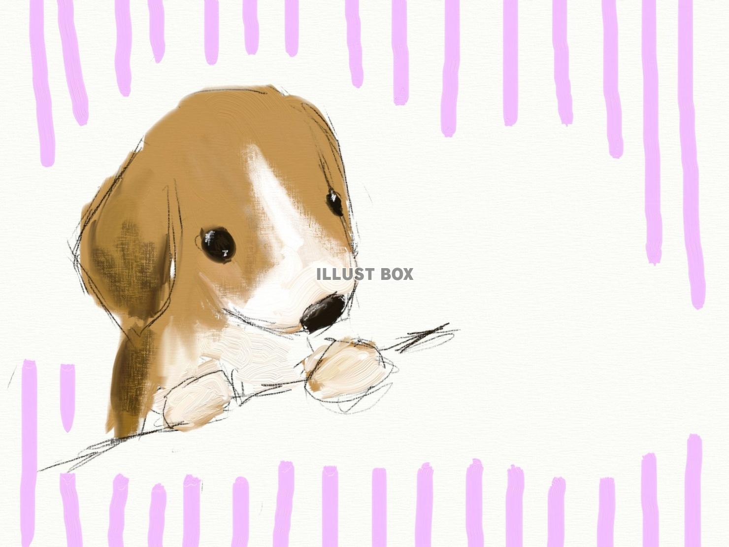 無料イラスト ビーグル犬 子犬 のフレーム