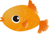 金魚02