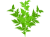 あしたば(png・CSeps）