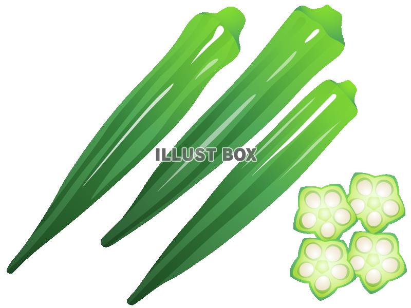 野菜 イラスト無料