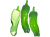 シシトウ(png・CSeps）