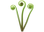 ぜんまい(png・CSeps）