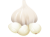 にんにく(png・CSeps）