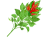 葉付きとうがらし(png・CSeps）