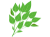 モロヘイヤ(png・CSeps）