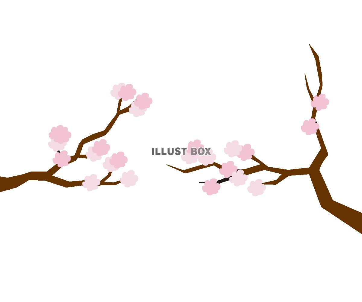 桜の枝ワンポイント　※茶枝